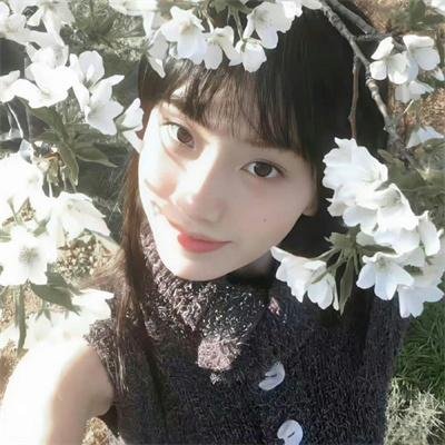 黑眉蚊